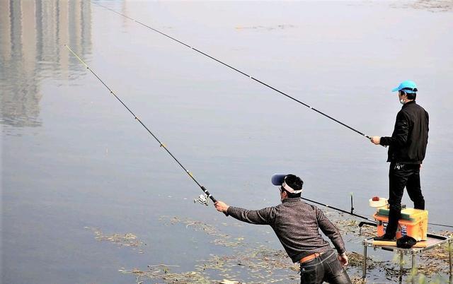 饵料|冬季野钓，记住三个要点，渔获可比平时多几倍