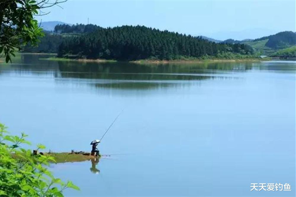 秋天野钓草鱼，这4种钓位钓鱼人争抢，抢到了大草鱼连竿