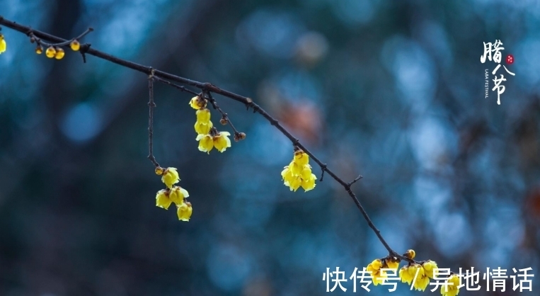 传统节日#诗词鉴赏-腊八｜十二首有关腊八的古诗词，带给你不一样的腊八节